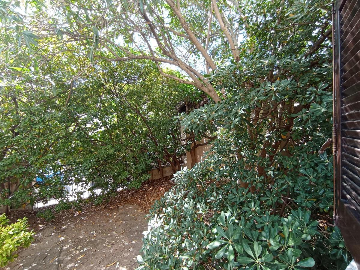 Bed and Breakfast Domus Garden à Olbia Extérieur photo
